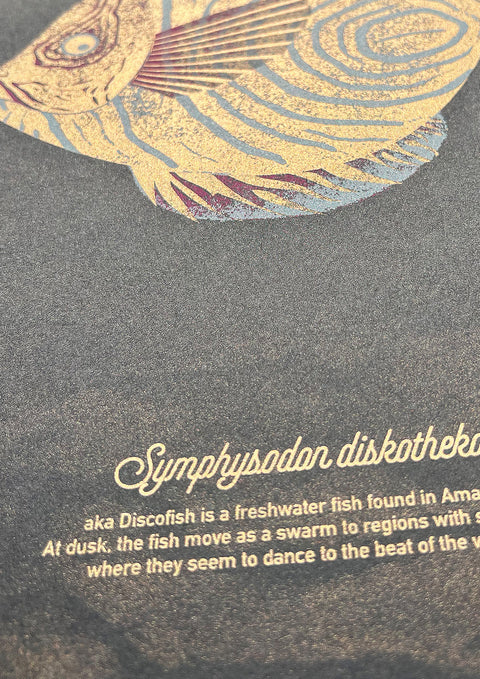 "Diskofisch Stay Golden"