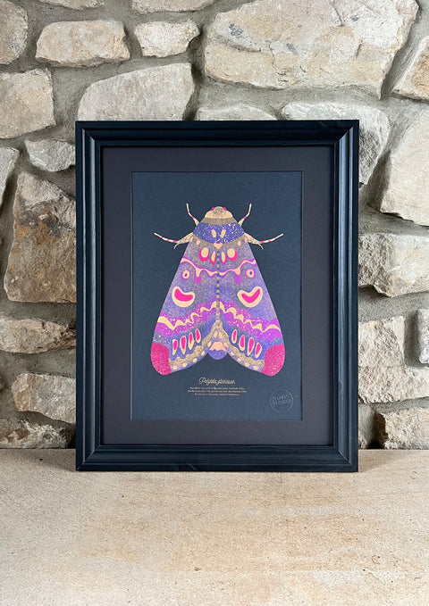 "Lily Moth Nightly"