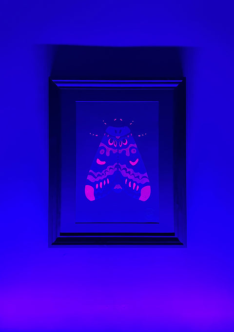 "Lily Moth Nightly"