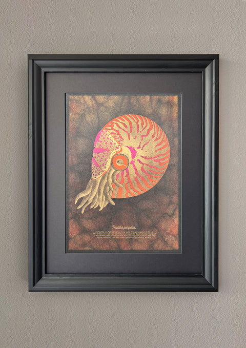 "Nautilus Deep Sea"