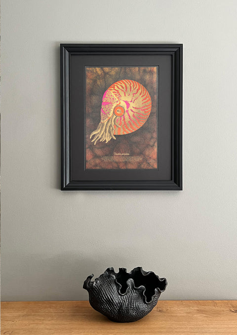 "Nautilus Deep Sea"