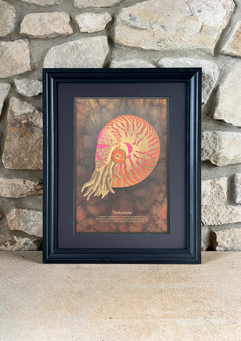 "Nautilus Deep Sea"