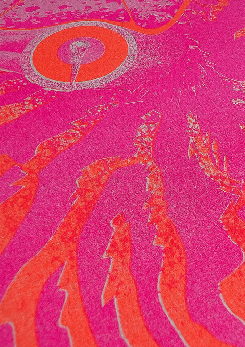 "Nautilus Pink Nemo"