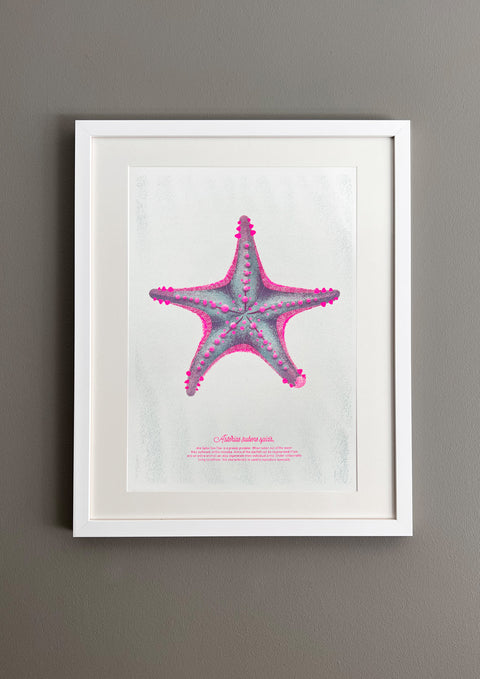 "Starfish Pink Spike"