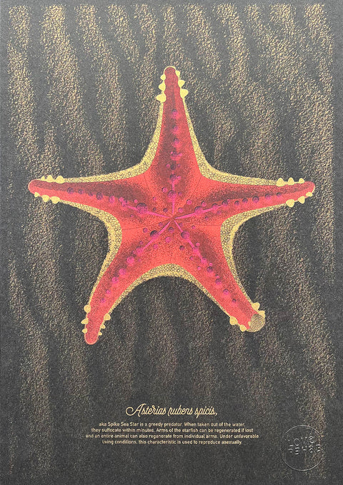"The Red Starfish"