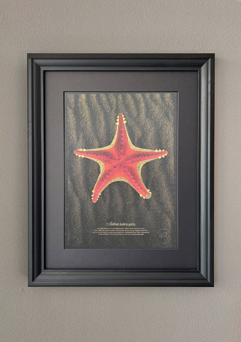 "The Red Starfish"