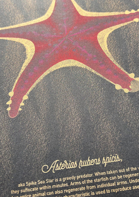 "The Red Starfish"