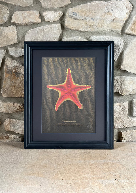 "The Red Starfish"