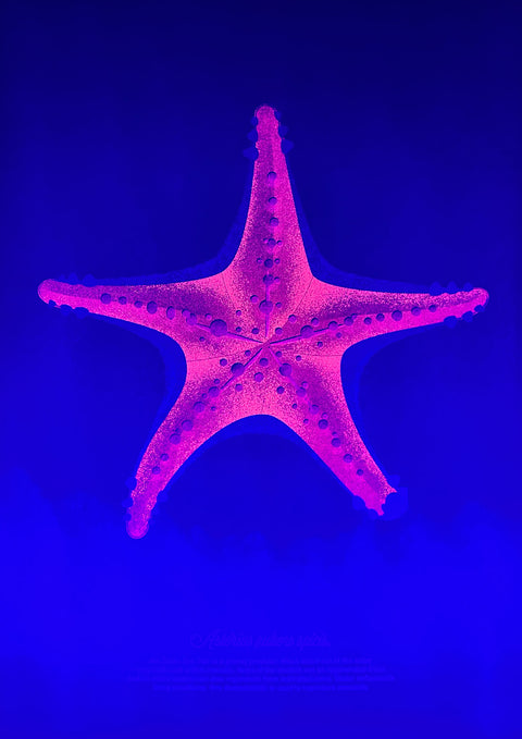 "The Red Starfish"