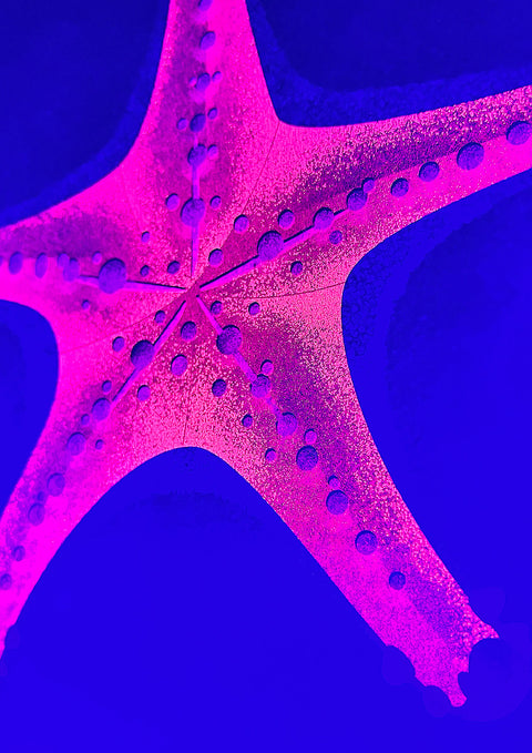 "The Red Starfish"
