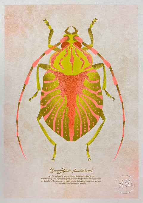 "Glow Beetle Orangina"