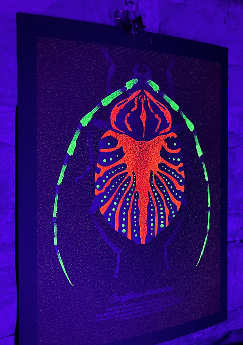 "Glow Beetle Mini"