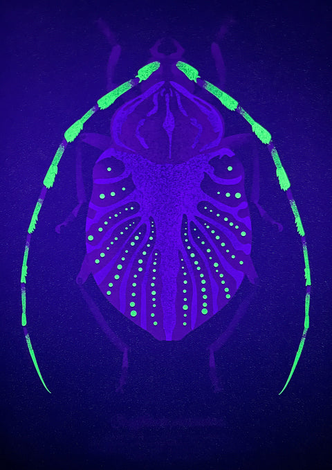 "Glow Beetle Bubblegum"