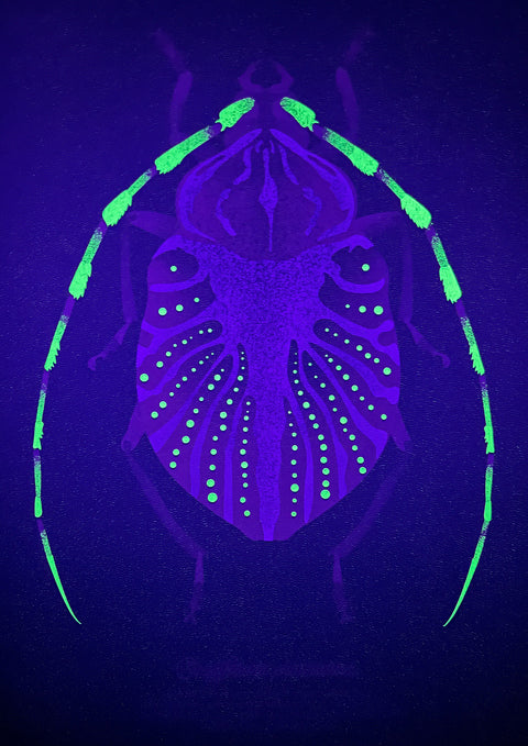 "Glow Beetle Bubblegum"