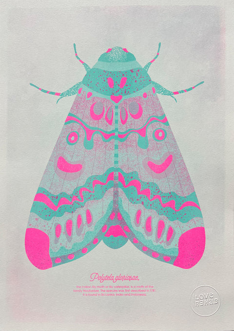 "Lily Moth Reloaded"