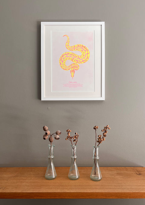 "Tiger Python Bubblegum"