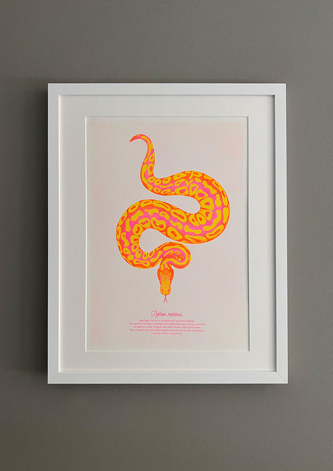 "Tiger Python Desert"