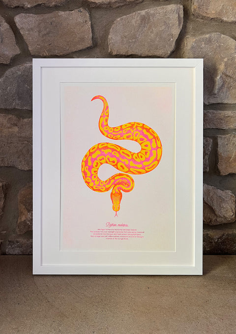 "Tiger Python Desert"