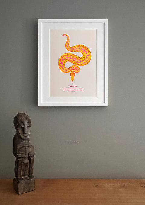 "Tiger Python Desert"