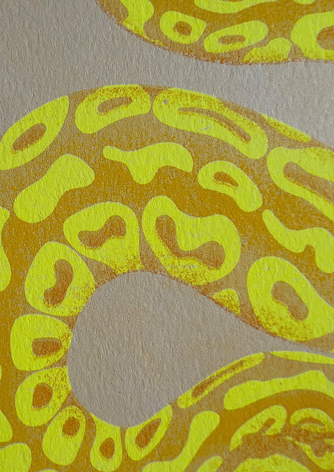 "Tiger Python Albino"