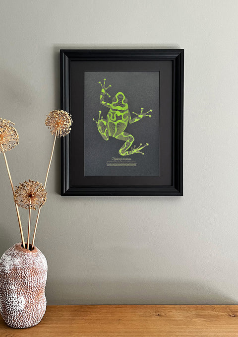 "Black Maze Frog"