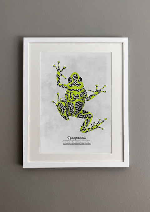 "Maze Frog"