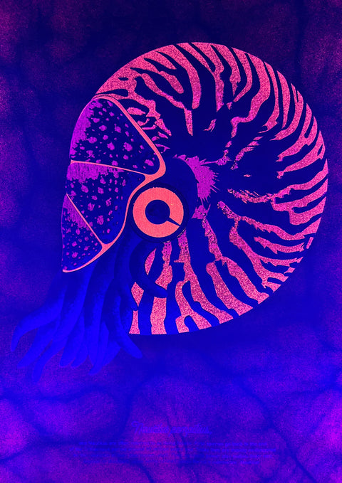 "Nautilus Deep Sea"