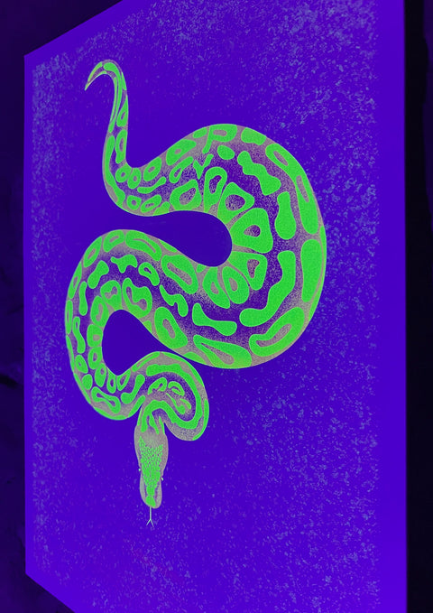 "Tiger Python Bubblegum"