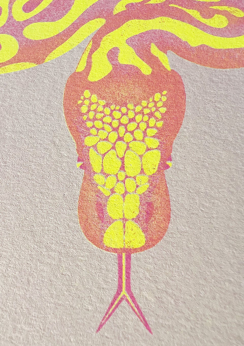 "Tiger Python Bubblegum"